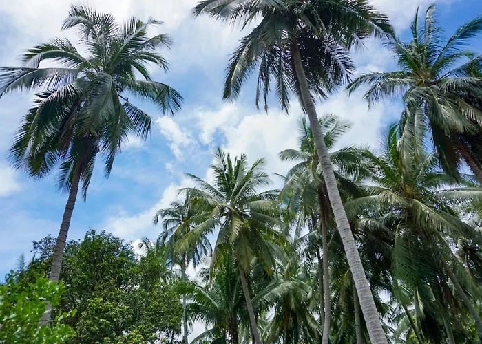 Behind The Temple Island Eco-Home 15Min Walk To Hin Kong Beach