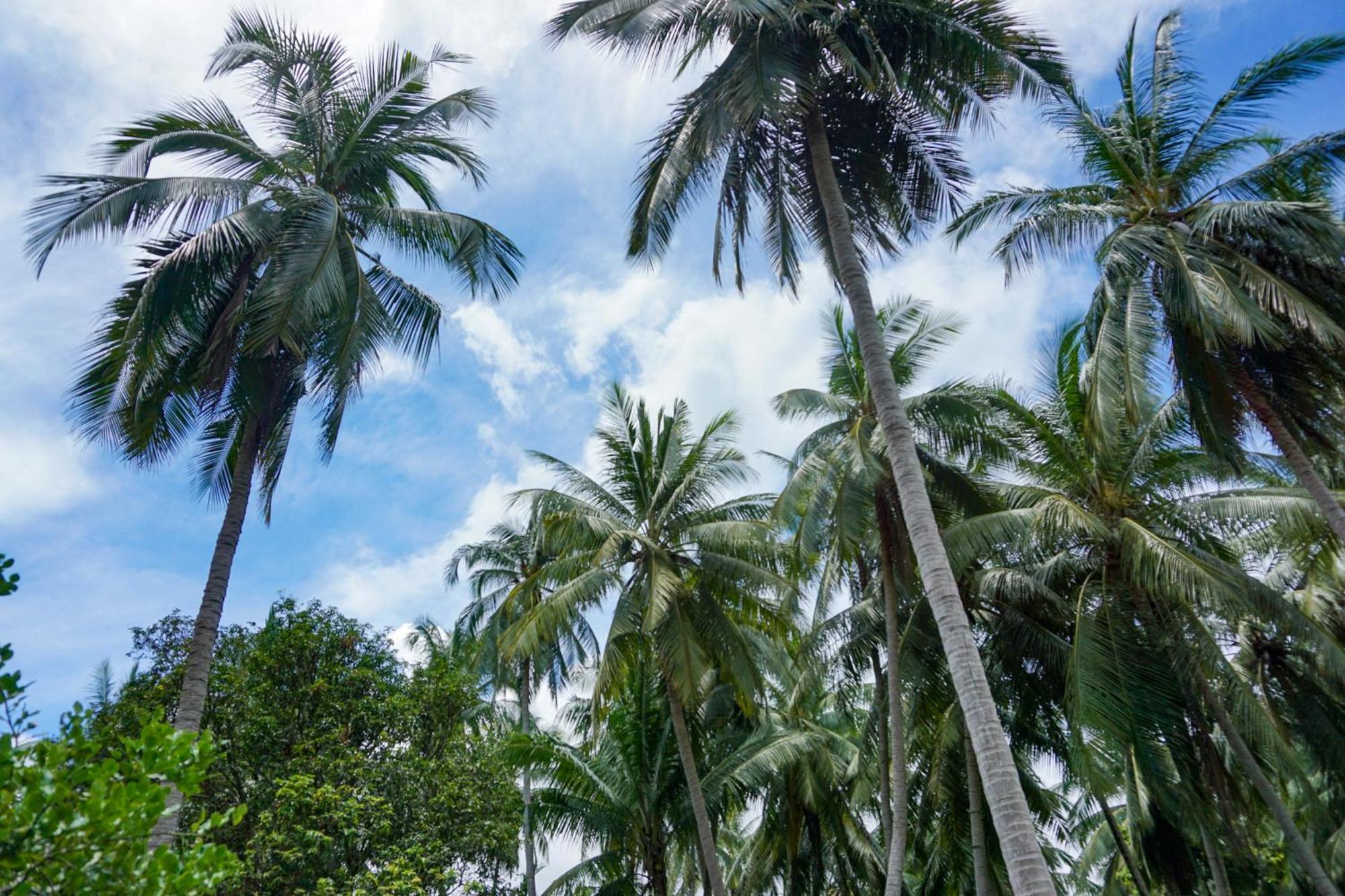 Holiday home Behind The Temple Island Eco-home 15min Walk To Hin Kong Ko Pha Ngan